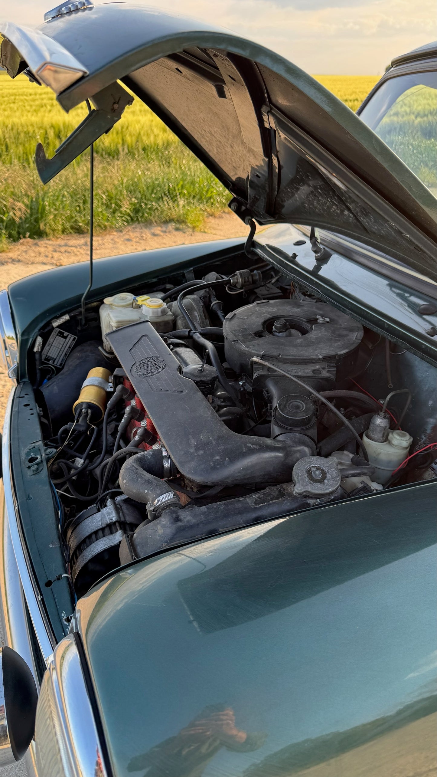 AUSTIN MINI COOPER 1300