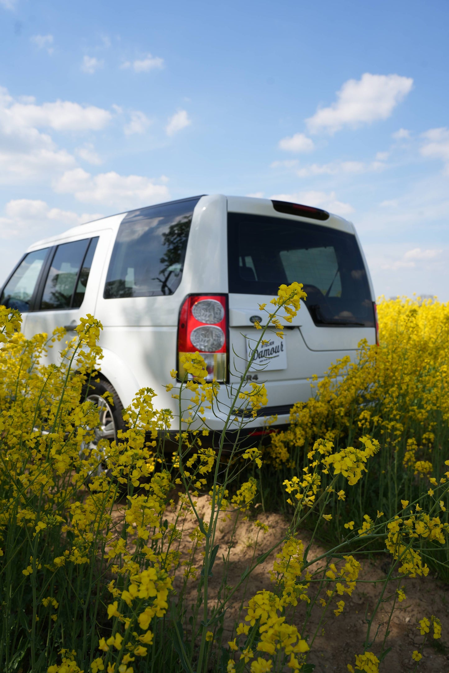 LAND ROVER DISCOVERY IV V8 5.0 HSE