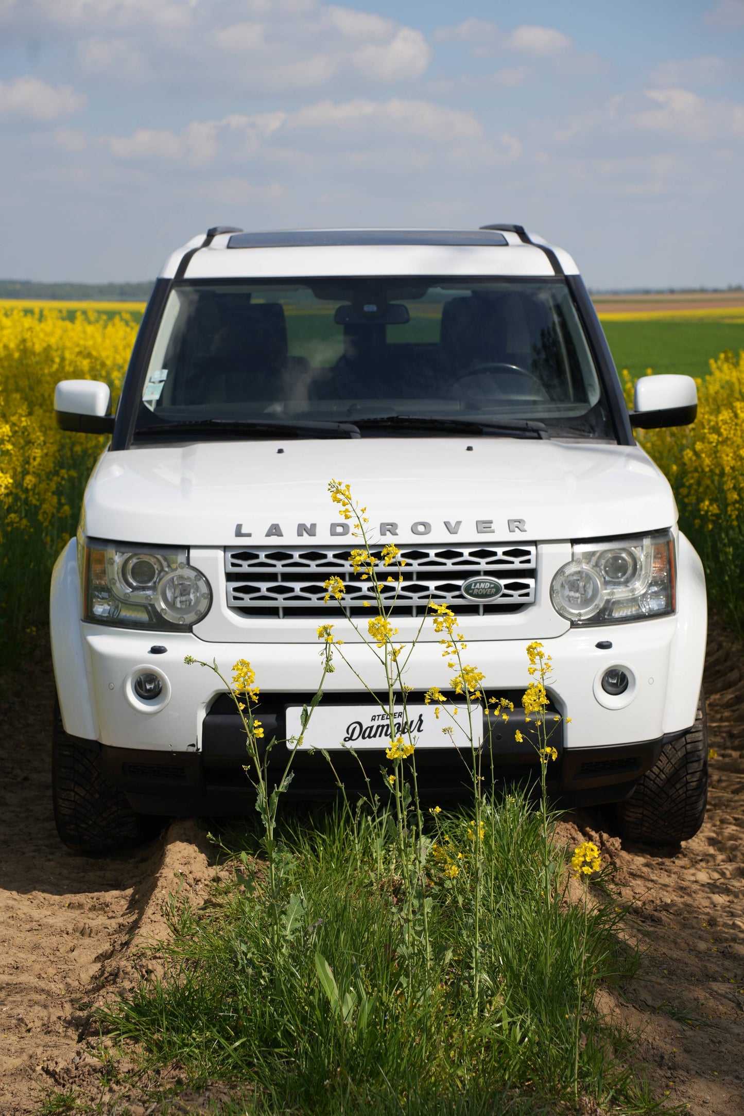 LAND ROVER DISCOVERY IV V8 5.0 HSE