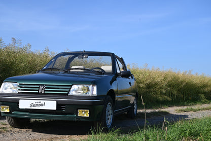 Peugeot 205 Rolland Garros