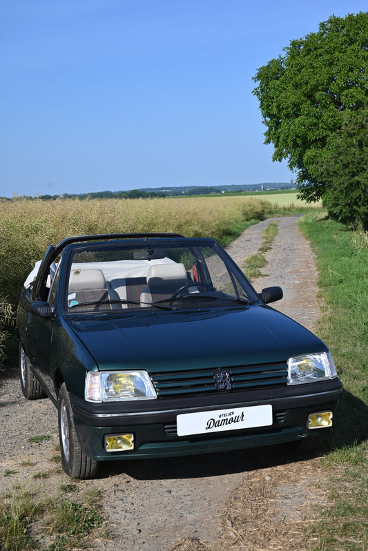 Peugeot 205 Rolland Garros