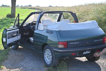 Peugeot 205 Rolland Garros