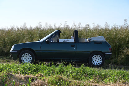 Peugeot 205 Rolland Garros