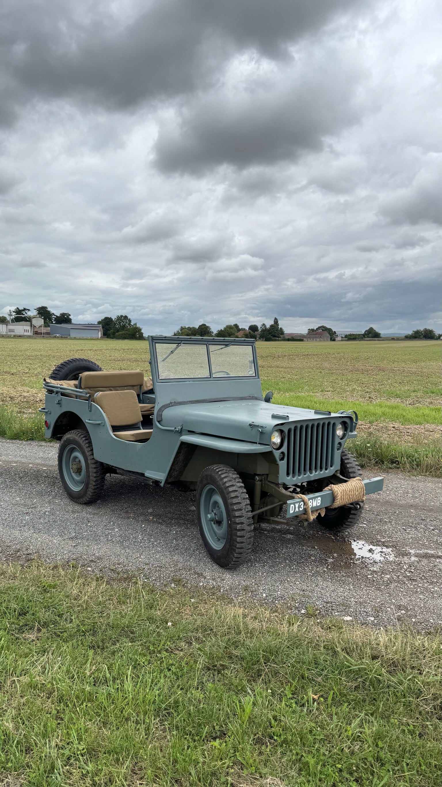 WILLYS BLUE NAVY