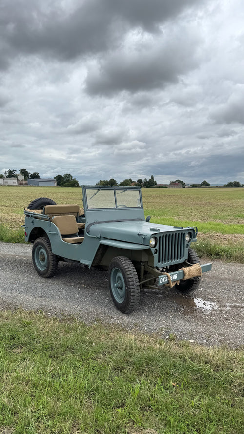 WILLYS BLUE NAVY