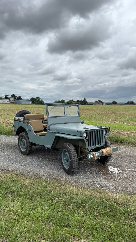 WILLYS BLUE NAVY