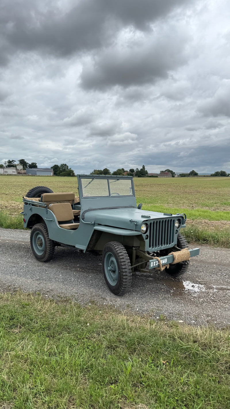 WILLYS BLUE NAVY