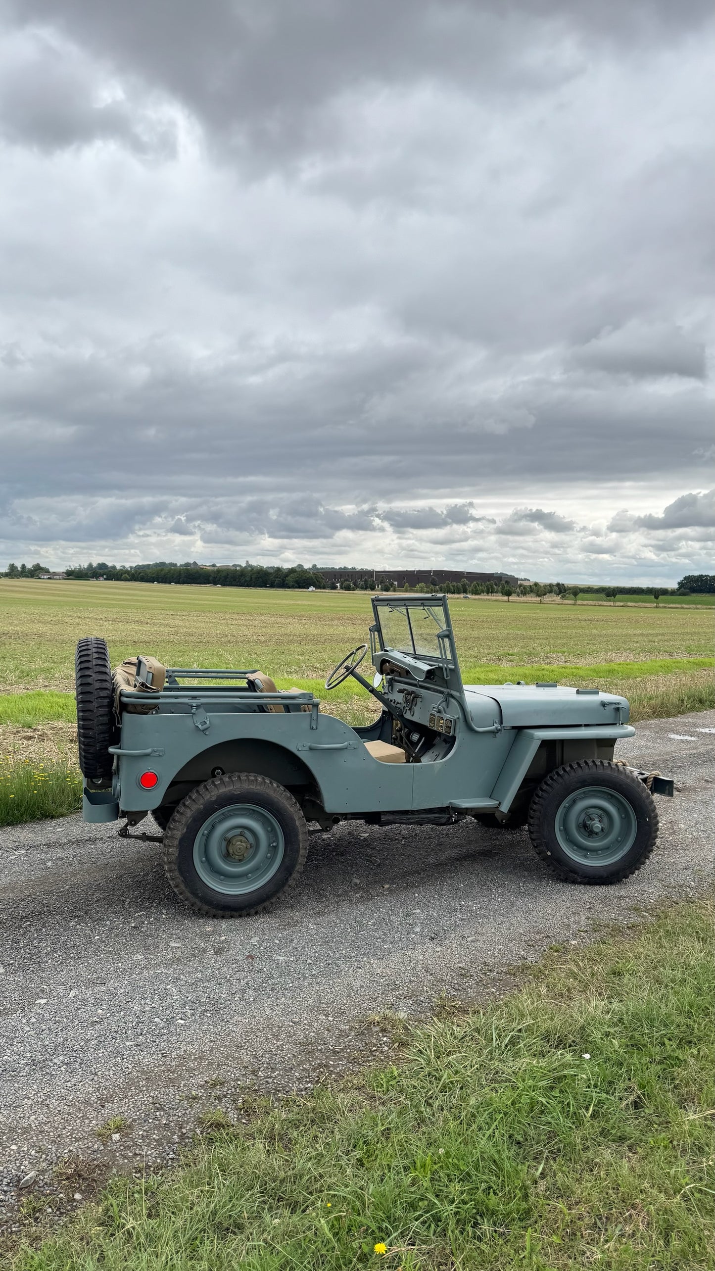 WILLYS BLUE NAVY