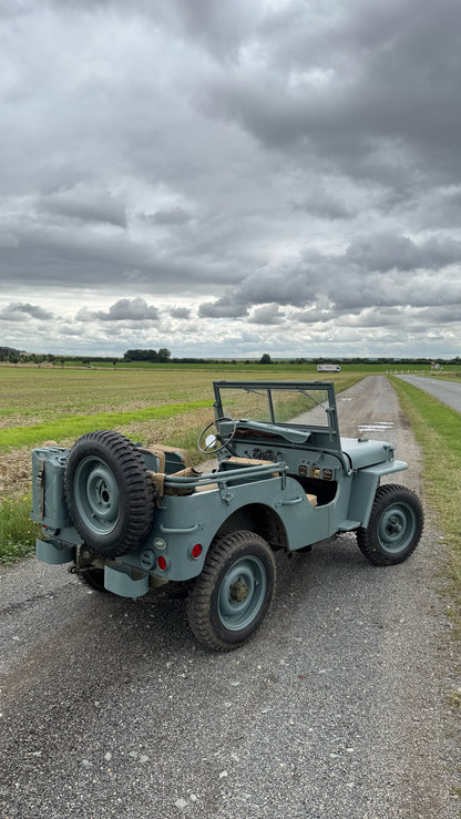 WILLYS BLUE NAVY
