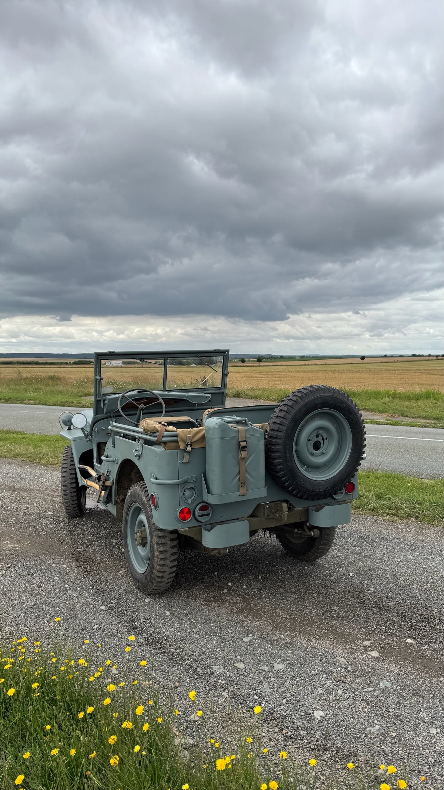 WILLYS BLUE NAVY