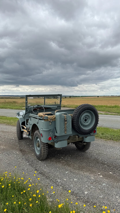 WILLYS BLUE NAVY