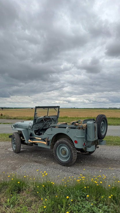 WILLYS BLUE NAVY