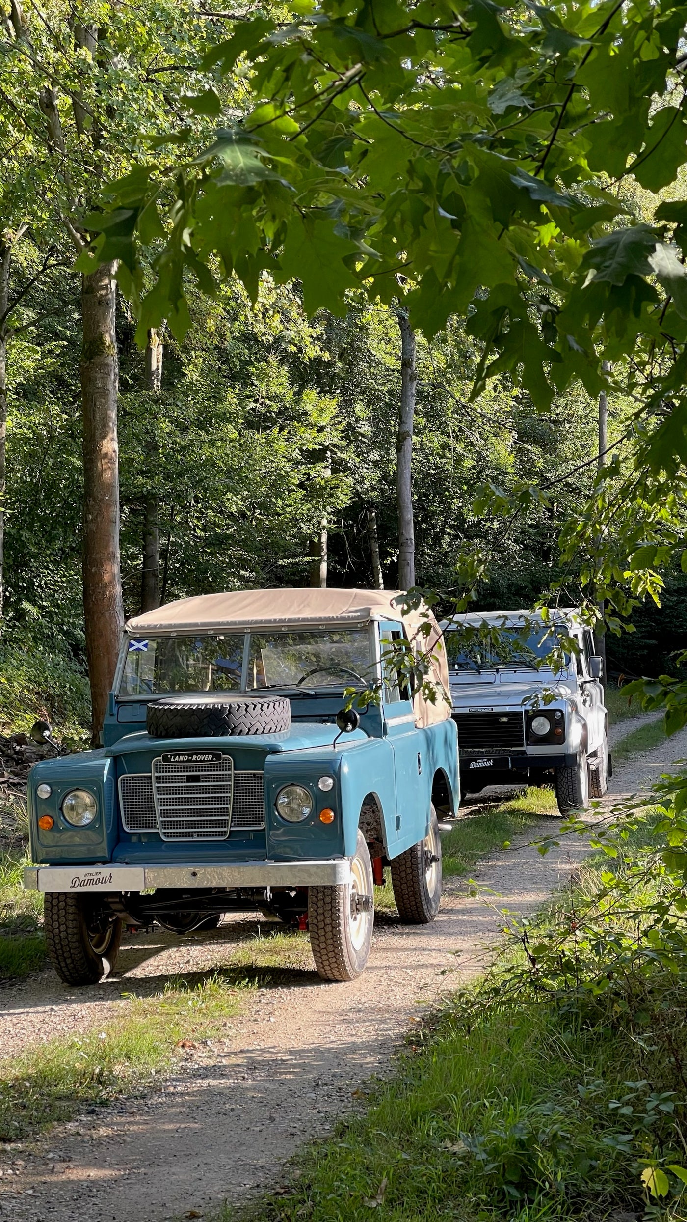 VENTE