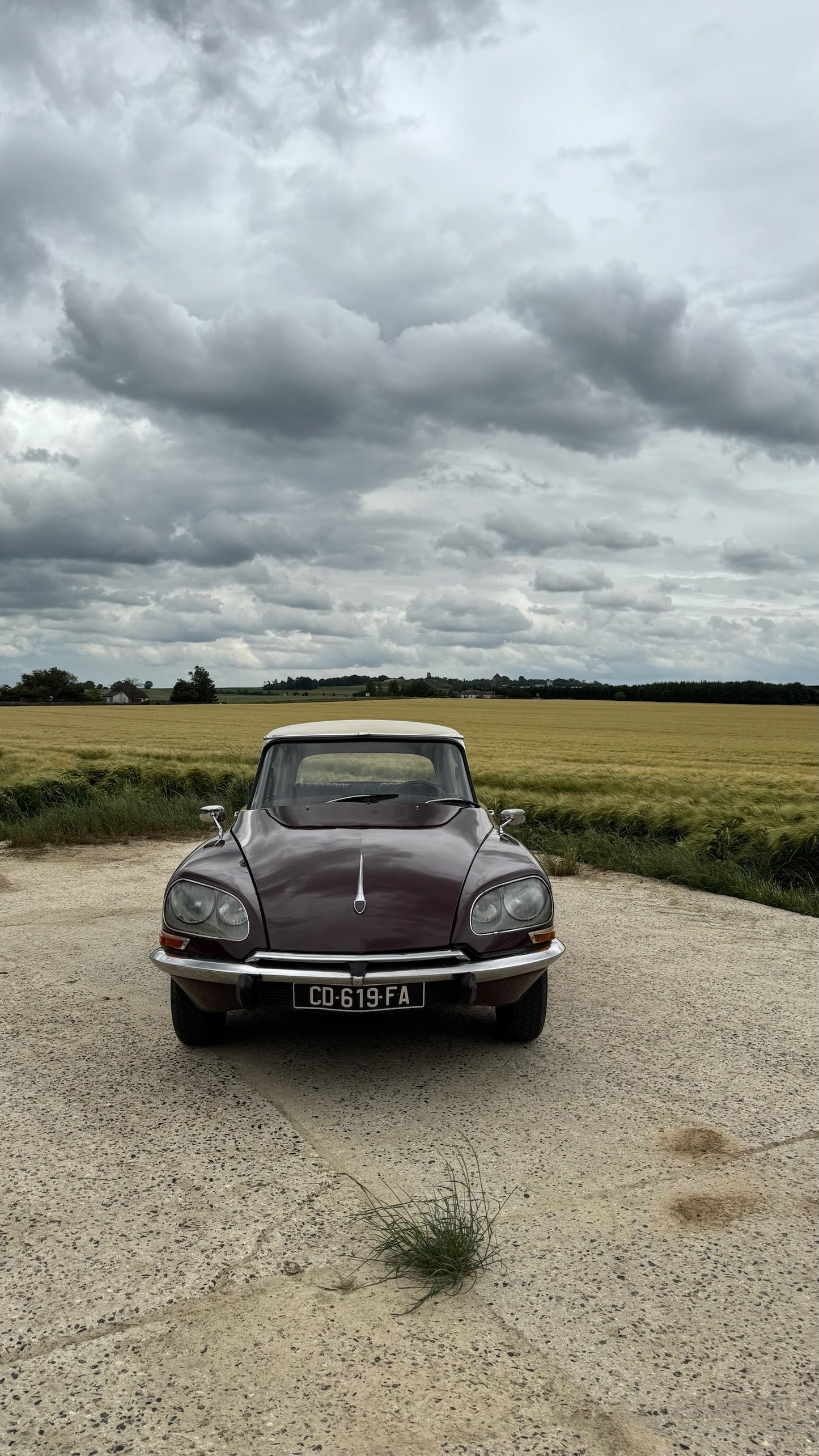 CITROEN DS 20