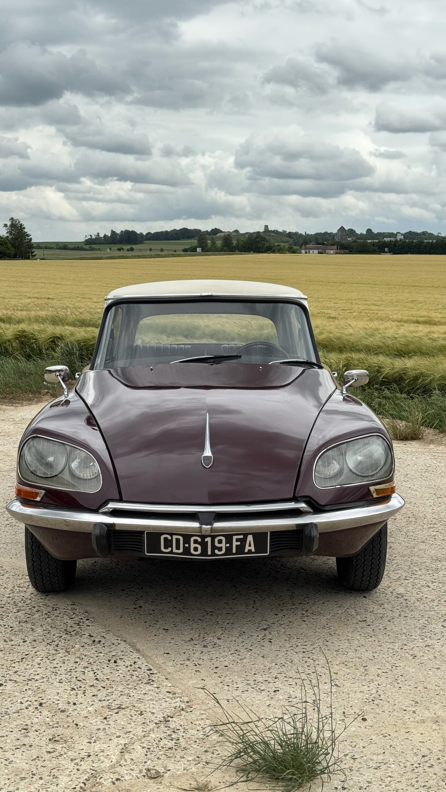CITROEN DS 20